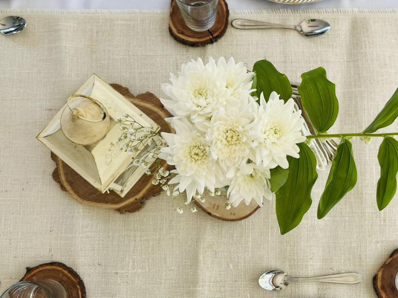 agroturystyka-w-jabloniowym-sadzie zdjęcie prezentacji gdzie wesele