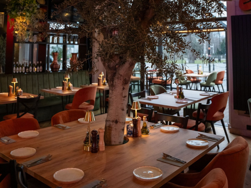 balkanica-opole zdjęcie prezentacji gdzie wesele