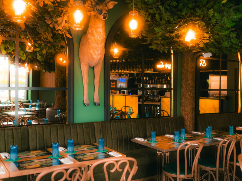 knieja-czarodzieja zdjęcie prezentacji gdzie wesele