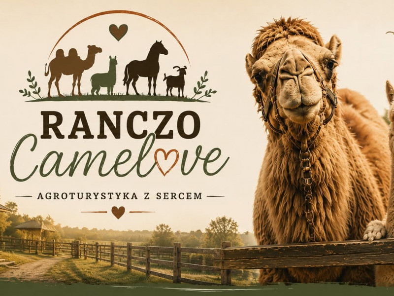 ranczo-camelove zdjęcie prezentacji