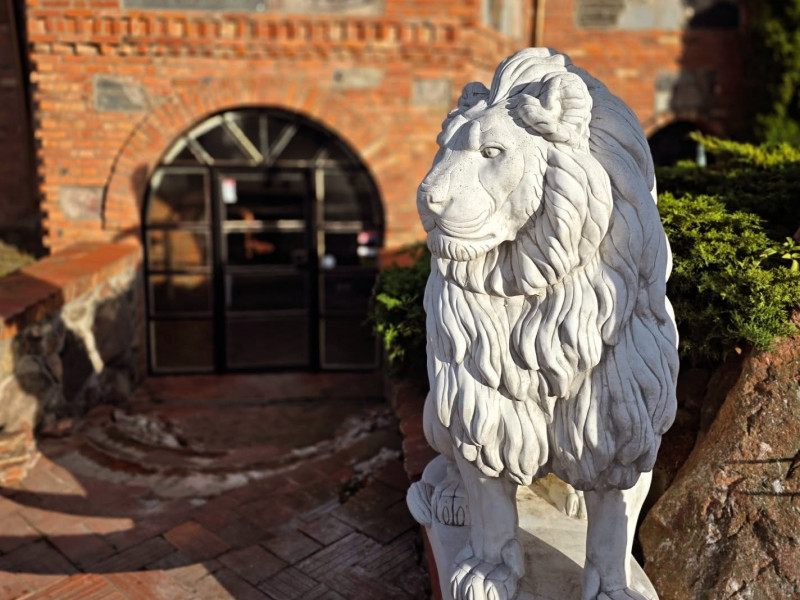 restauracja-zlote-lwy zdjęcie prezentacji gdzie wesele