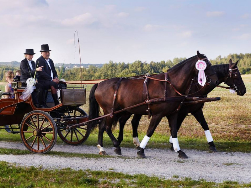 stajnia-caballo zdjęcie prezentacji gdzie wesele